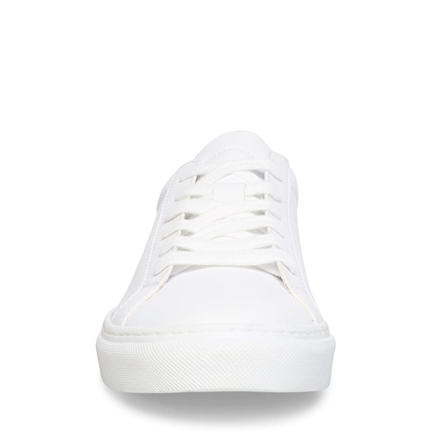 White Steve Madden Bolo Men's Sneakers | PH 3705PCV